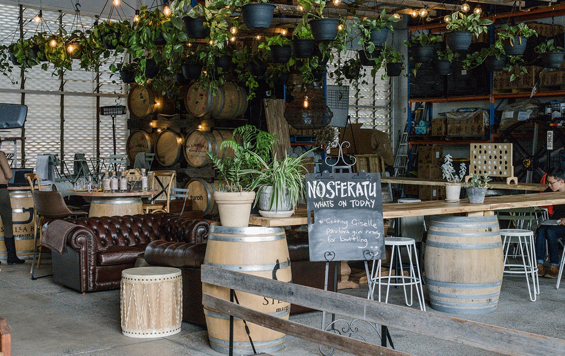 bar area at nosferatu, with plants hanging above tables and chairs